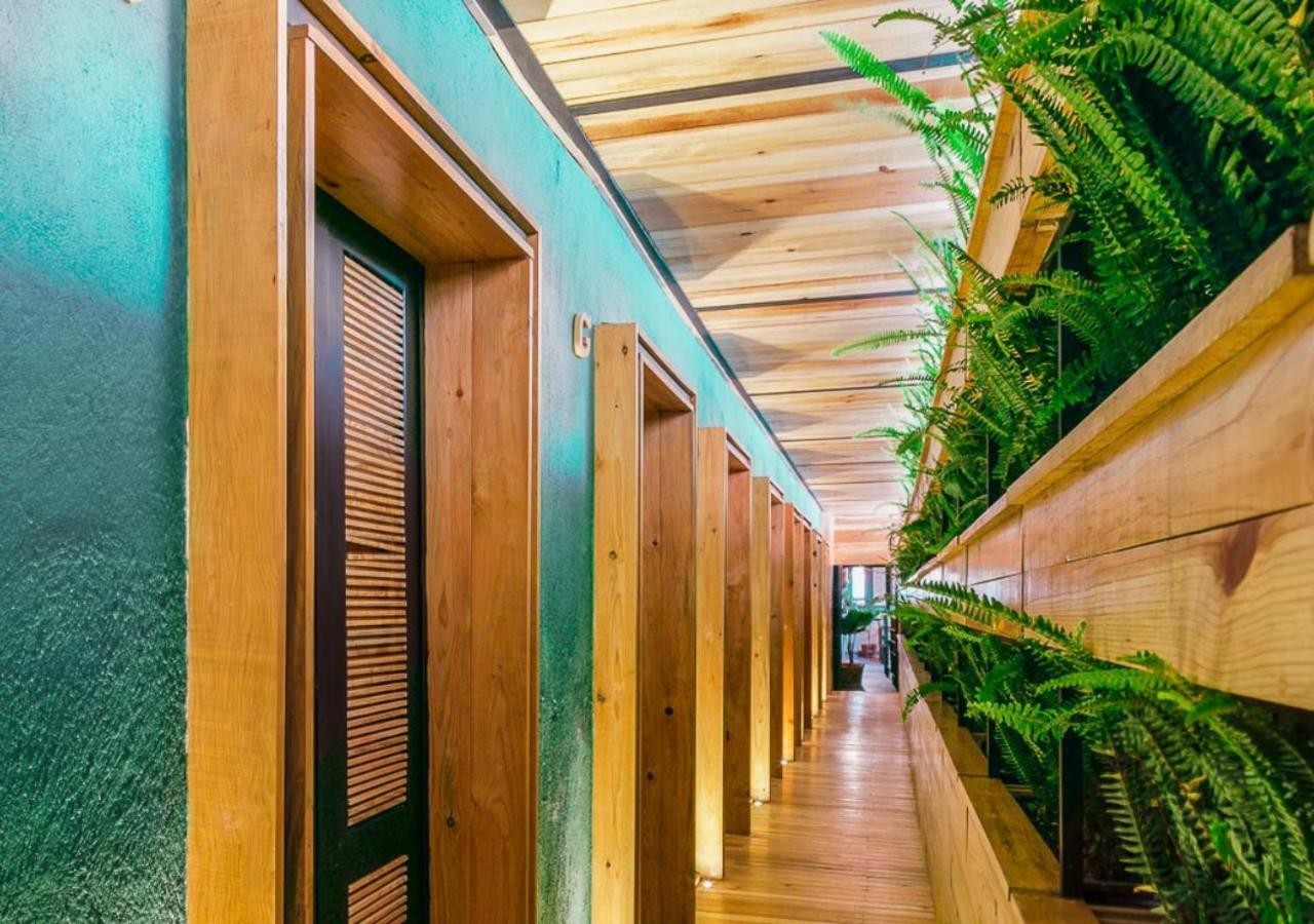 Mexico Hostel المظهر الخارجي الصورة