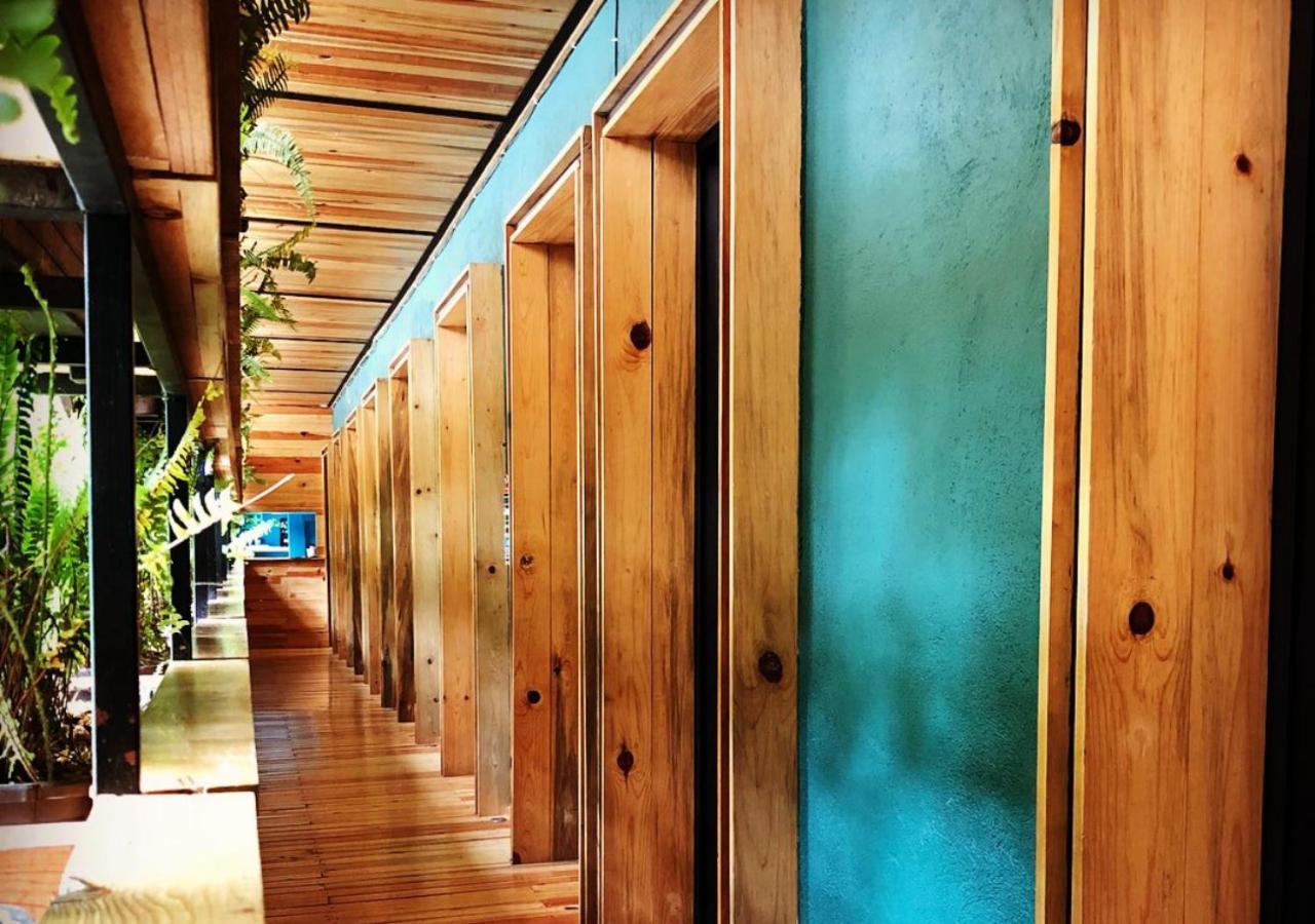 Mexico Hostel المظهر الخارجي الصورة