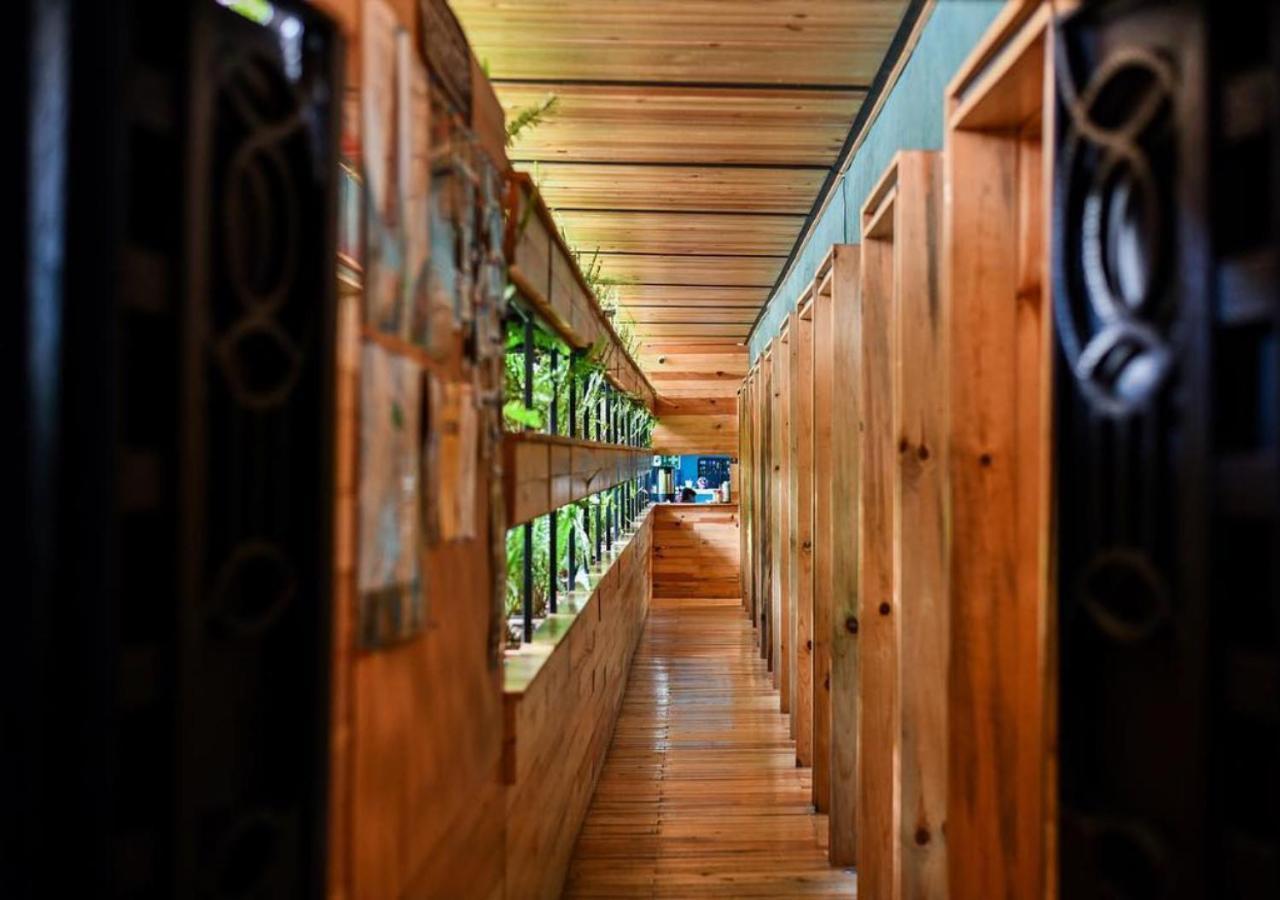 Mexico Hostel المظهر الخارجي الصورة